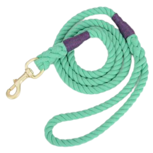 Rope Leash - Turquoise Tide