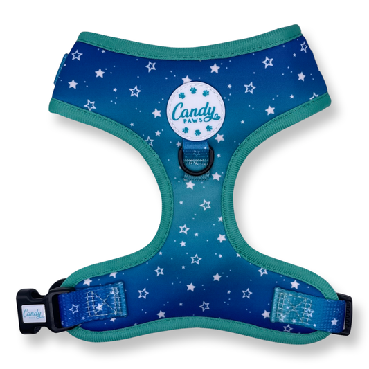 Harness: Wish Upon A Star