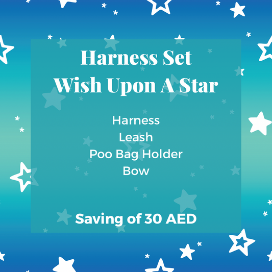 Wish Upon A Star: Harness Set