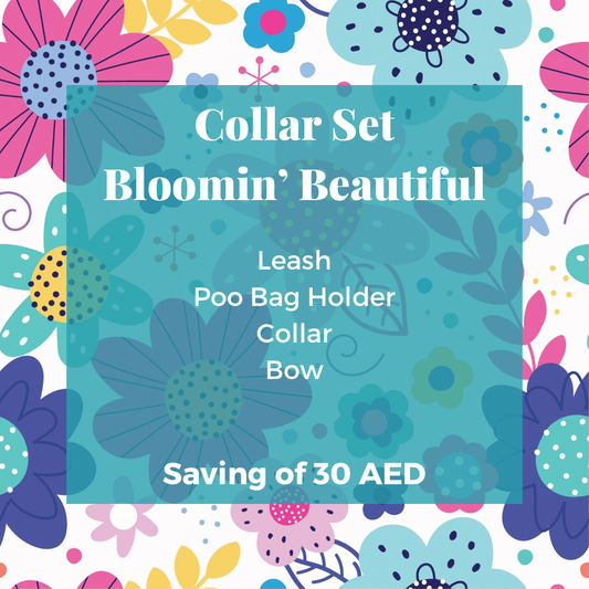 Bloomin' Beautiful: Collar Set