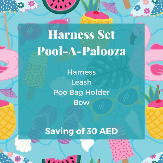 Pool-A-Palooza: Harness Set