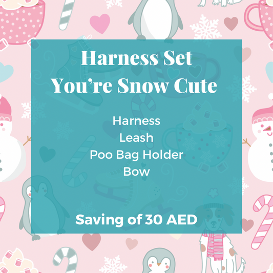 You're Snow Cute!: Harness Set