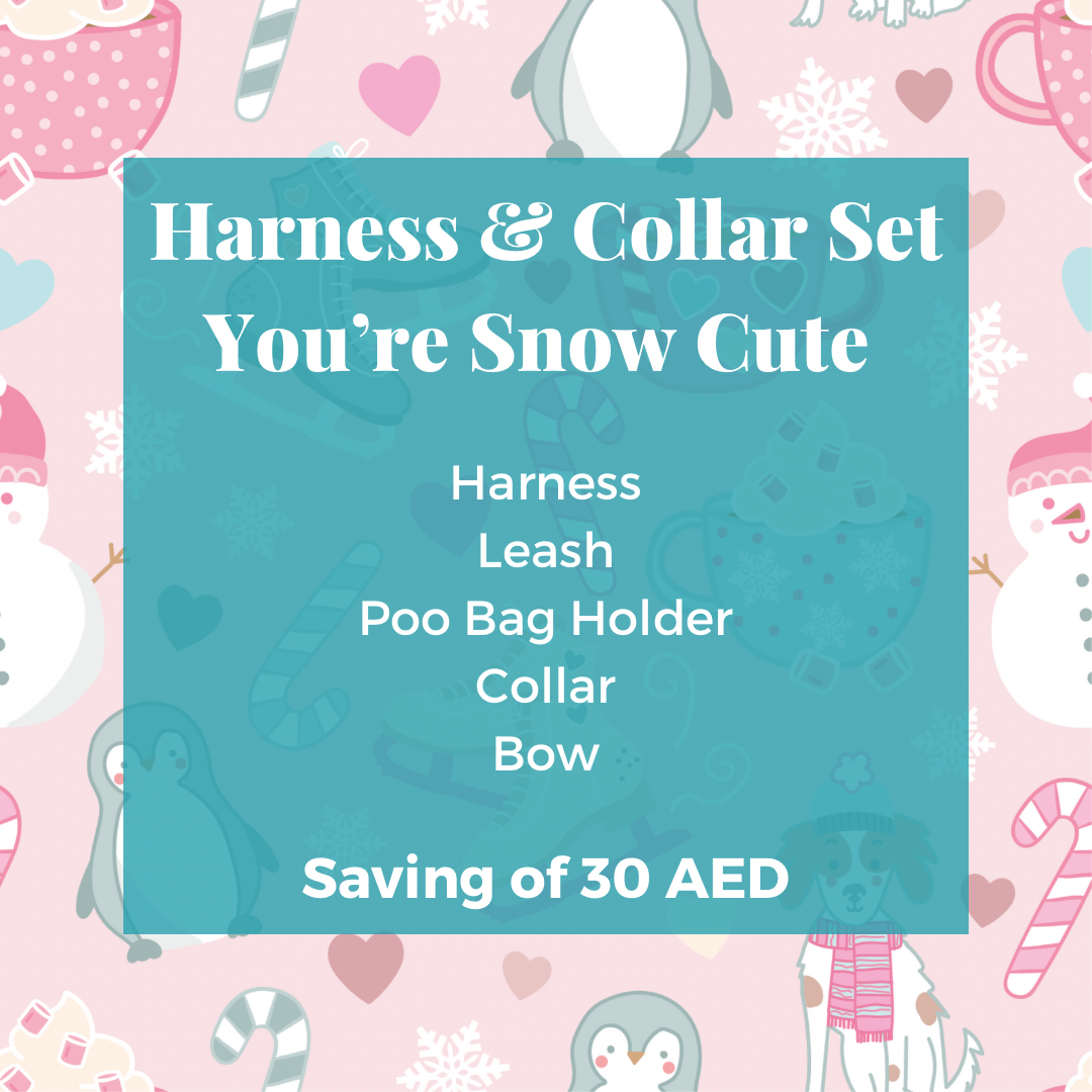 You're Snow Cute: Collar & Harness Combo Set