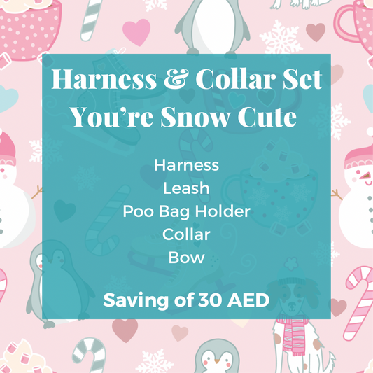 You're Snow Cute: Collar & Harness Combo Set
