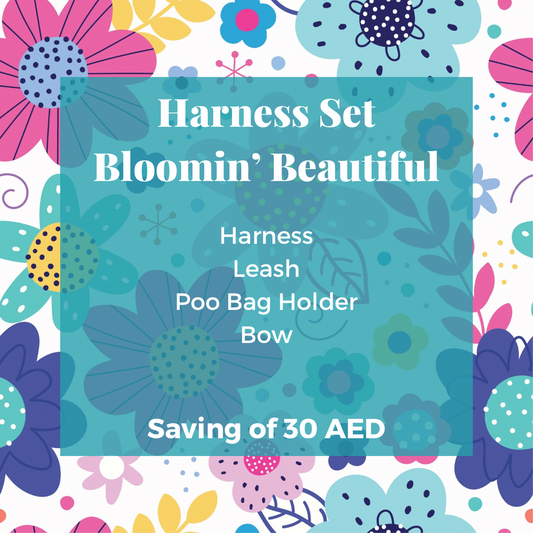 Bloomin' Beautiful: Harness Set