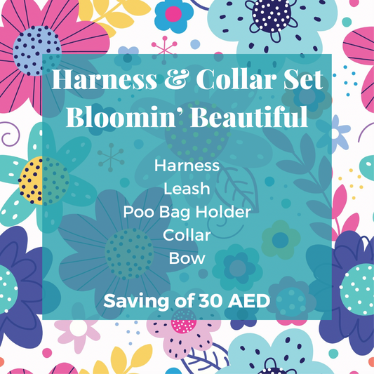 Bloomin' Beautiful: Collar & Harness Combo Set
