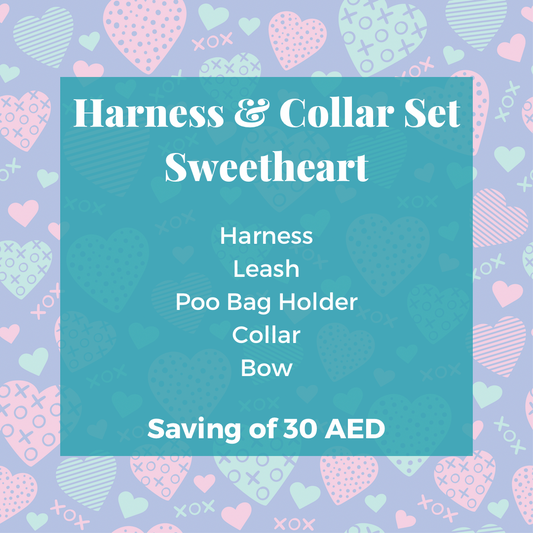 Sweetheart: Collar & Harness Combo Set