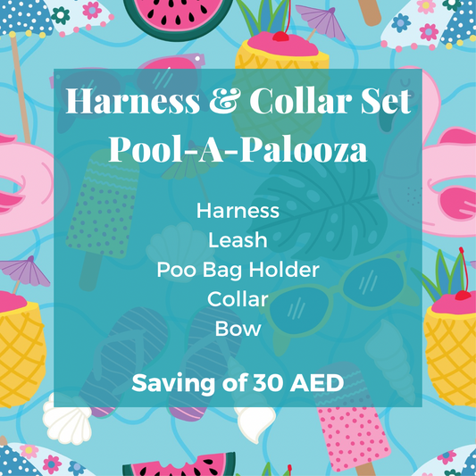 Pool-A-Palooza: Collar & Harness Combo Set
